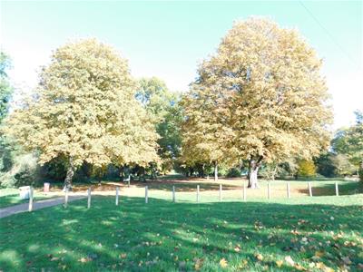 Picture 21